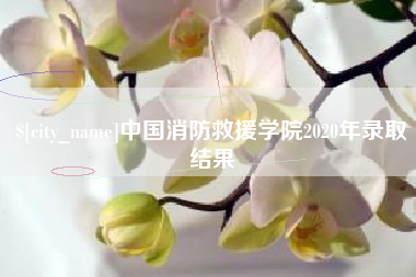 汶上中国消防救援学院2020年录取结果