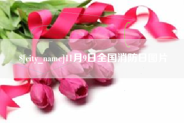汶上11月9日全国消防日图片