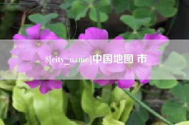 汶上中国地图 市