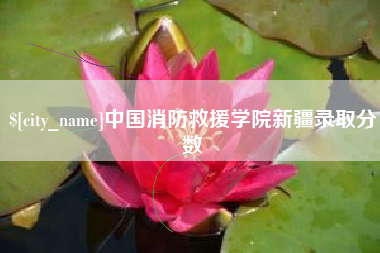 汶上中国消防救援学院新疆录取分数