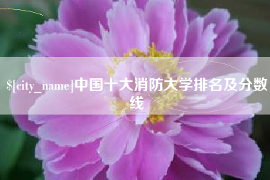 汶上中国十大消防大学排名及分数线