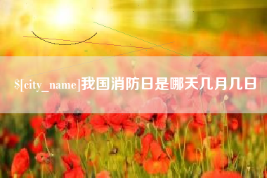 汶上我国消防日是哪天几月几日