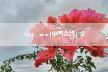 汶上中国金牌18金