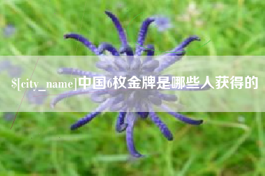 汶上中国6枚金牌是哪些人获得的