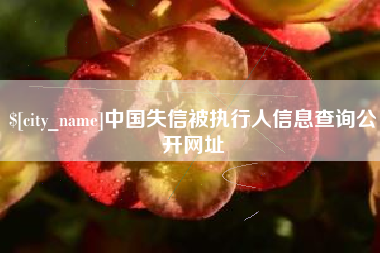 汶上中国失信被执行人信息查询公开网址