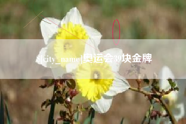 汶上奥运会39块金牌