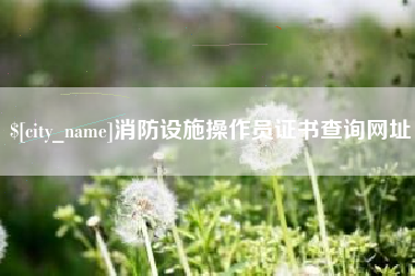 汶上消防设施操作员证书查询网址