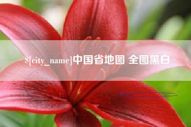 汶上中国省地图 全图黑白