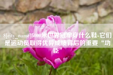 汶上5000米世界冠军穿什么鞋-它们是运动员取得优异成绩背后的重要“功臣”