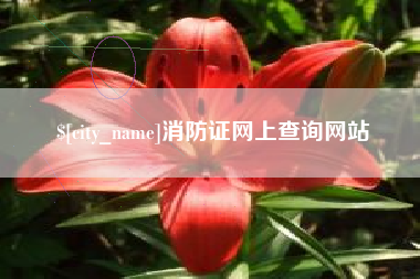汶上消防证网上查询网站