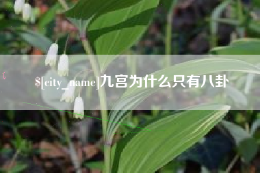 汶上九宫为什么只有八卦