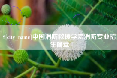 汶上中国消防救援学院消防专业招生简章