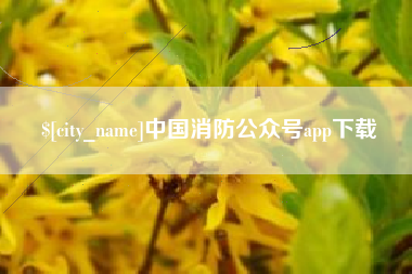 汶上中国消防公众号app下载
