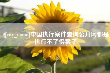 汶上中国执行案件查询公开网都是执行不了得案子