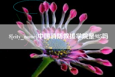 汶上中国消防救援学院是985吗