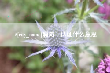 汶上消防ccc认证什么意思
