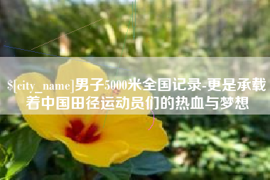 汶上男子5000米全国记录-更是承载着中国田径运动员们的热血与梦想