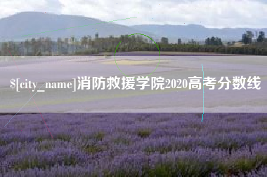 汶上消防救援学院2020高考分数线