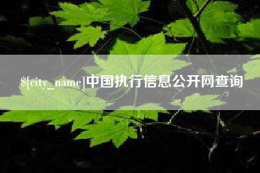汶上中国执行信息公开网查询