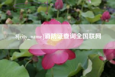 汶上消防证查询全国联网