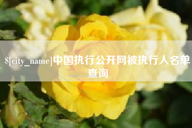汶上中国执行公开网被执行人名单查询