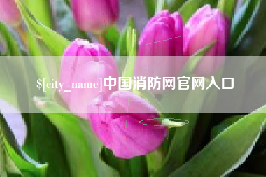 汶上中国消防网官网入口