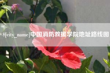 汶上中国消防救援学院地址路线图
