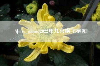 汶上2022年九宫格飞星图