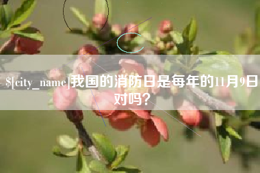 汶上我国的消防日是每年的11月9日对吗？