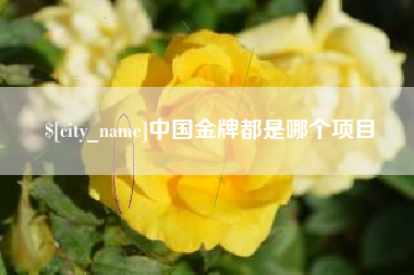 汶上中国金牌都是哪个项目