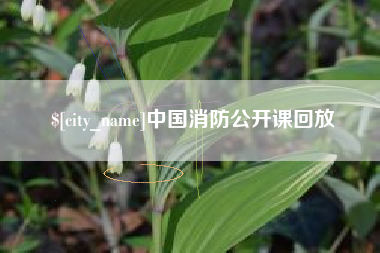 汶上中国消防公开课回放