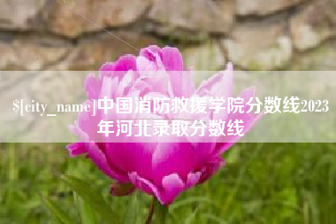 汶上中国消防救援学院分数线2023年河北录取分数线
