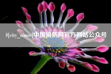 汶上中国消防网官方网站公众号