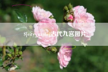 汶上古代九宫图片