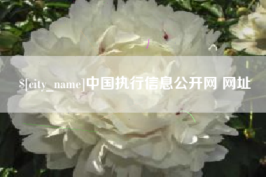 汶上中国执行信息公开网 网址
