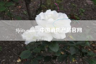 汶上中国消防产品官网