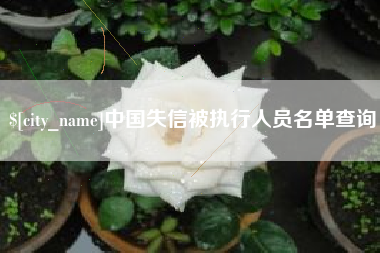 汶上中国失信被执行人员名单查询