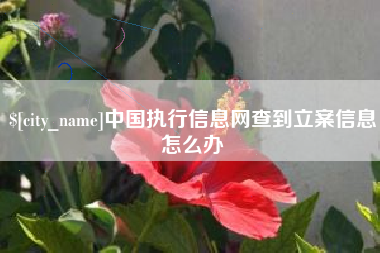 汶上中国执行信息网查到立案信息怎么办