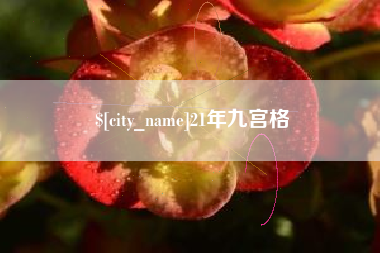 汶上21年九宫格