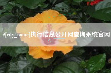 汶上执行信息公开网查询系统官网