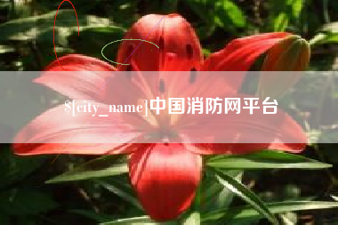 汶上中国消防网平台