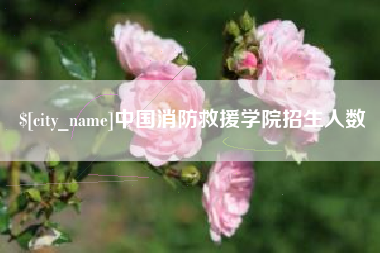 汶上中国消防救援学院招生人数