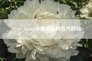 汶上中国消防网官方网站