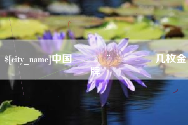 汶上中国🇨🇳几枚金牌