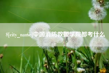 汶上中国消防救援学院都考什么