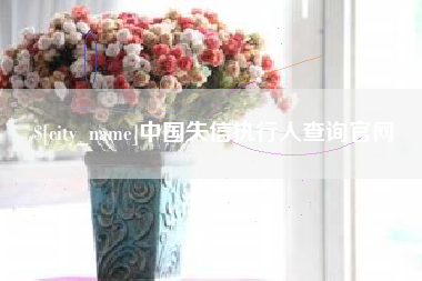 汶上中国失信执行人查询官网