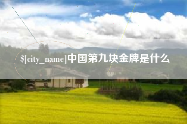 汶上中国第九块金牌是什么
