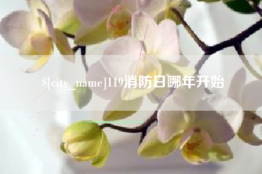 汶上119消防日哪年开始
