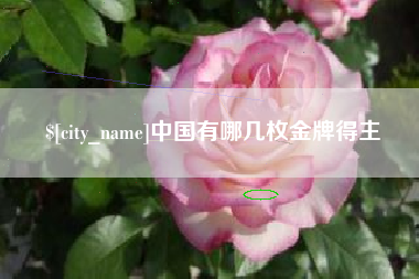 汶上中国有哪几枚金牌得主