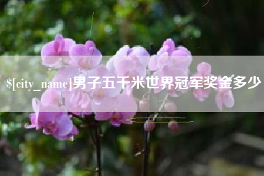 汶上男子五千米世界冠军奖金多少